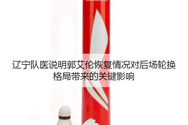 辽宁队医说明郭艾伦恢复情况对后场轮换格局带来的关键影响